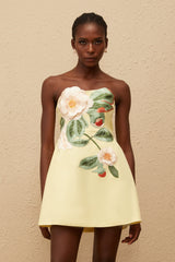 Alejandra | Off-Shoulder Floral Embroidered Mini Dress