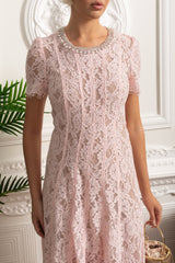 Tessa | Crystal Collar Lace Midi Dress